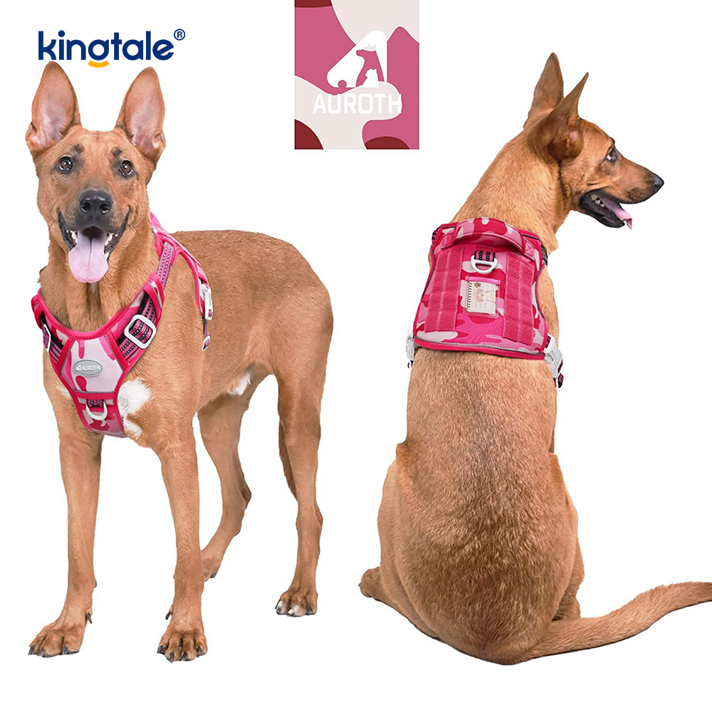 Ceinture en Nylon robuste sans traction pour chien, gilet, harnais d'entraînement, poitrine
