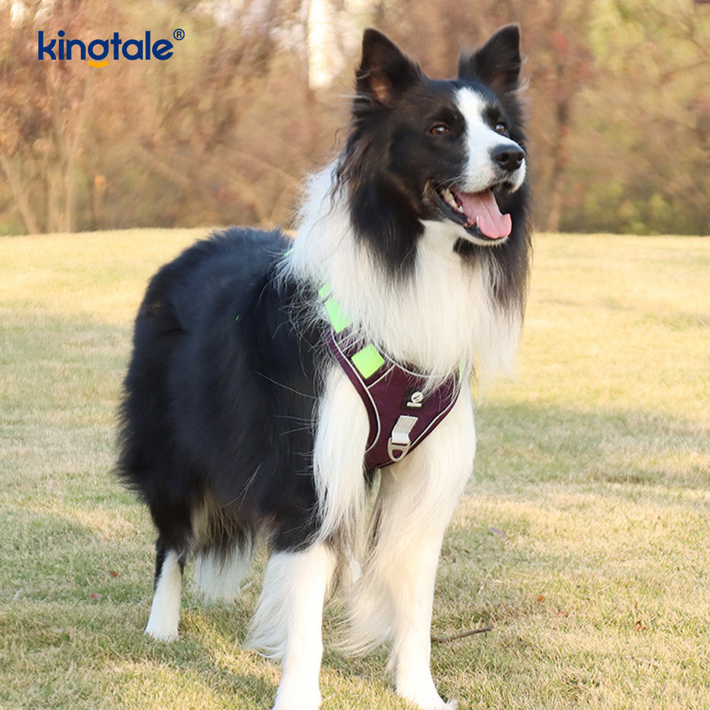 Harnais pour animaux de compagnie en nylon réfléchissant réglable et respirant pour chien de sport