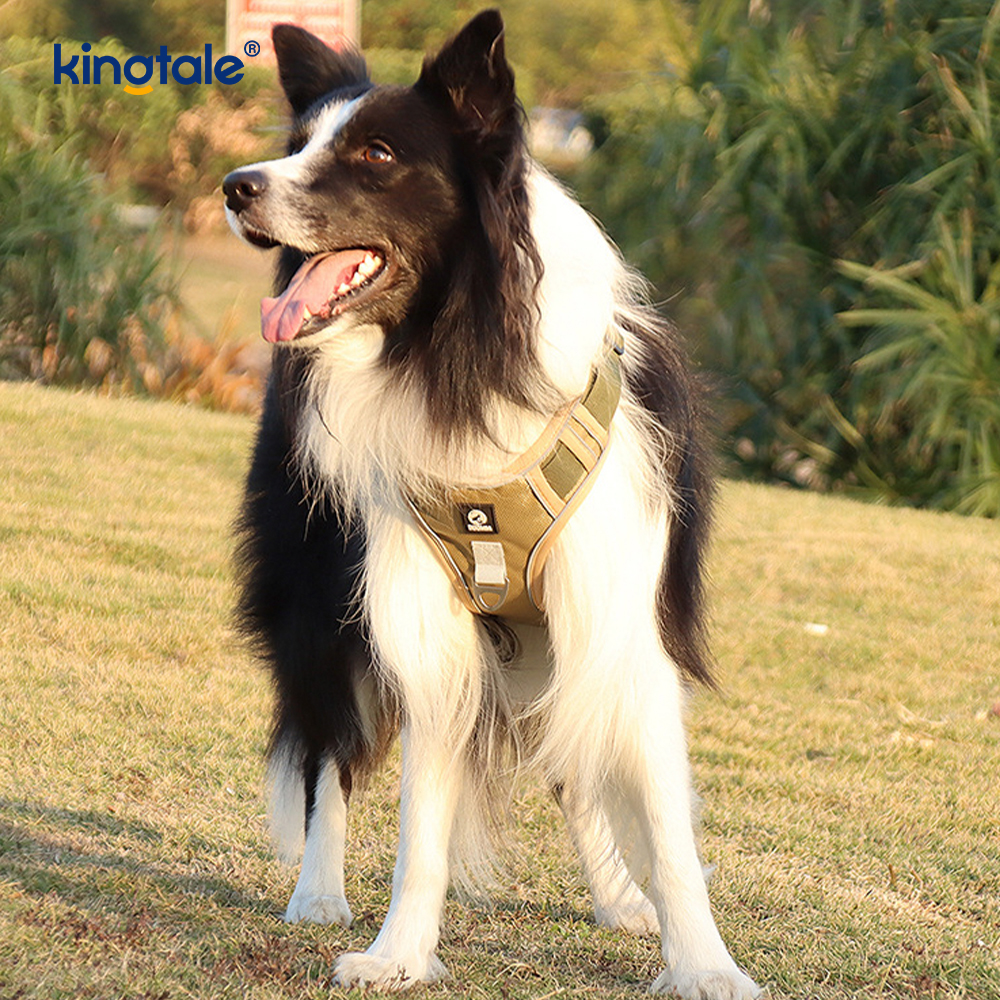 Harnais pour animaux de compagnie en nylon réfléchissant réglable et respirant pour chien de sport
