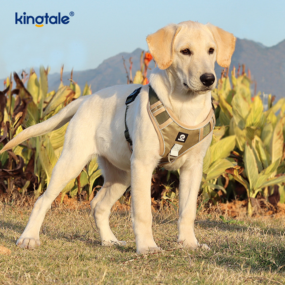 Harnais pour animaux de compagnie en nylon réfléchissant réglable et respirant pour chien de sport