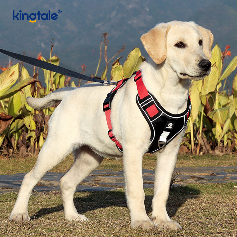 Harnais pour animaux de compagnie en nylon réfléchissant réglable et respirant pour chien de sport