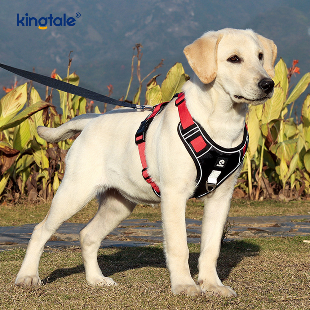 Harnais pour animaux de compagnie en nylon réfléchissant réglable et respirant pour chien de sport
