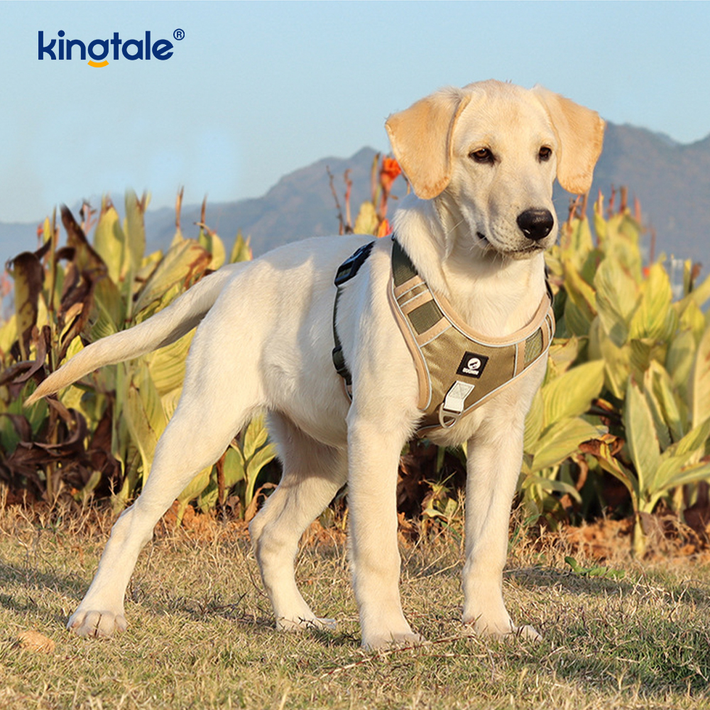 Harnais pour animaux de compagnie en nylon réfléchissant réglable et respirant pour chien de sport
