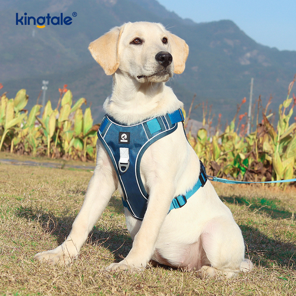 Harnais pour animaux de compagnie en nylon réfléchissant réglable et respirant pour chien de sport