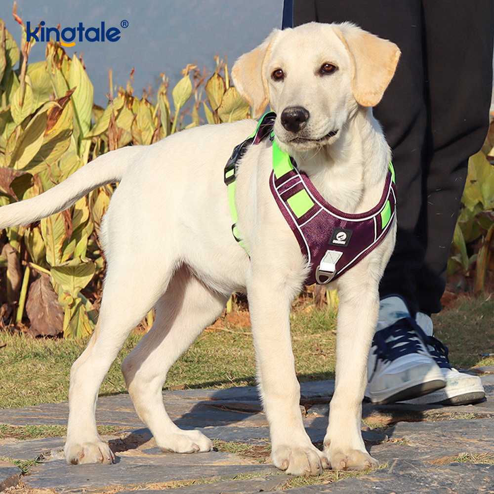 Harnais pour animaux de compagnie en nylon réfléchissant réglable et respirant pour chien de sport