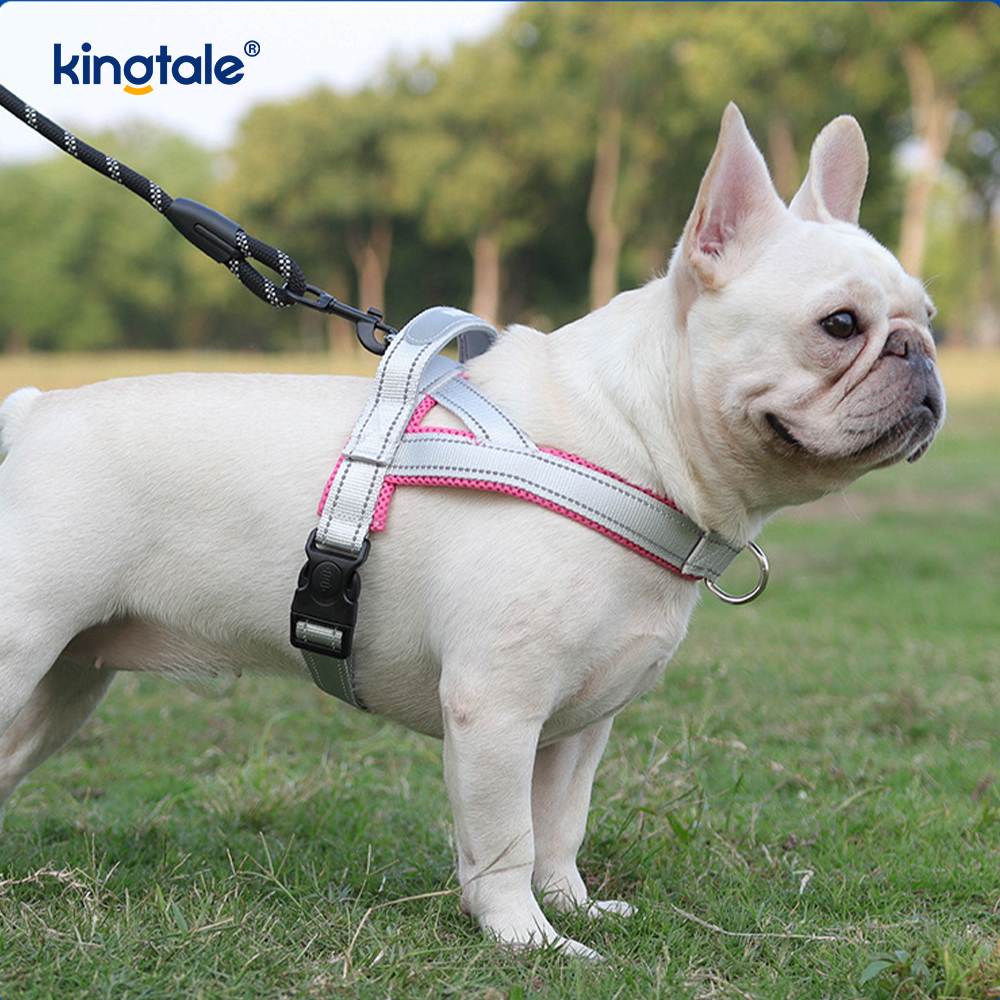 Harnais réfléchissant en nylon réglable pour chien de compagnie, vente en gros personnalisé, ensemble le moins