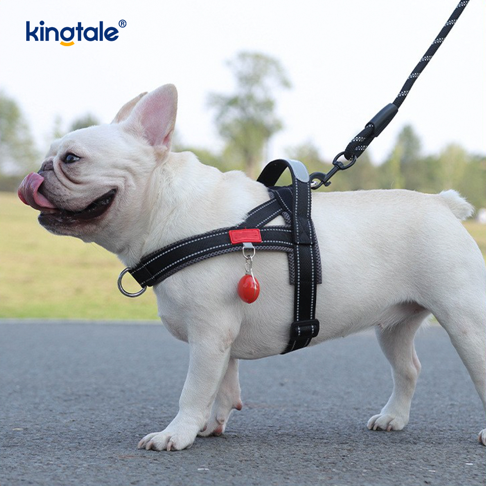 Harnais réfléchissant en nylon réglable pour chien de compagnie, vente en gros personnalisé, ensemble le moins
