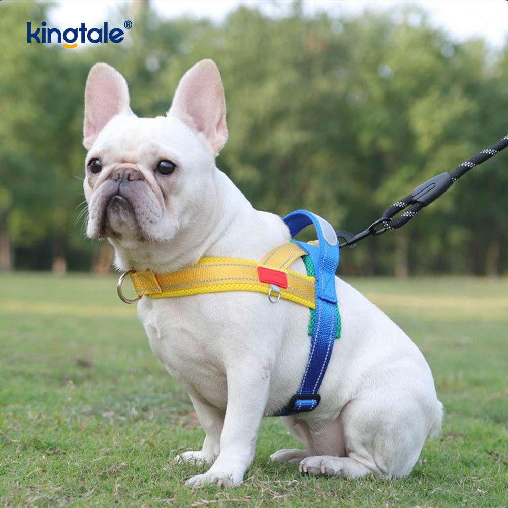 Harnais réfléchissant en nylon réglable pour chien de compagnie, vente en gros personnalisé, ensemble le moins