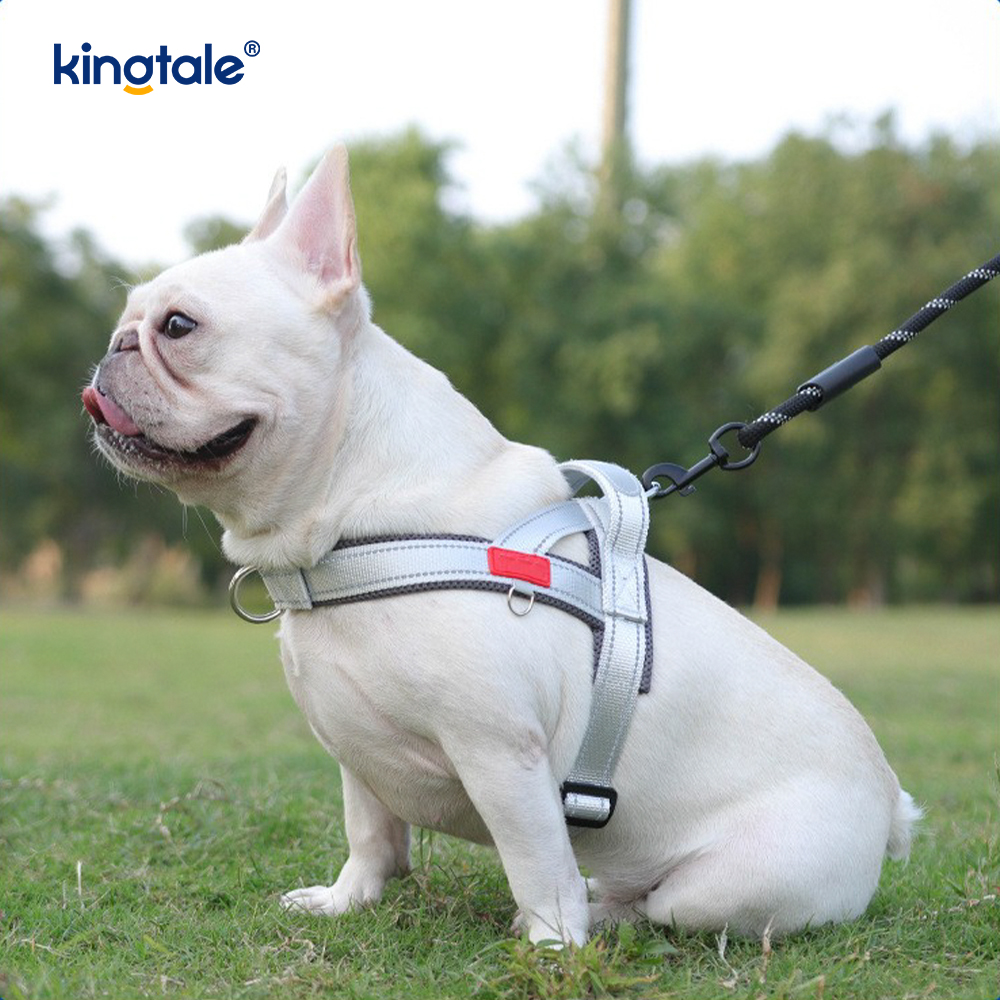 Harnais réfléchissant en nylon réglable pour chien de compagnie, vente en gros personnalisé, ensemble le moins