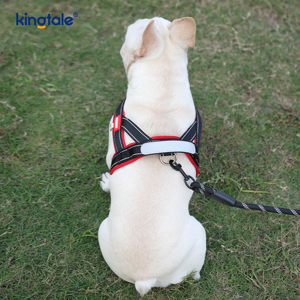 Harnais réfléchissant en nylon réglable pour chien de compagnie, vente en gros personnalisé, ensemble le moins