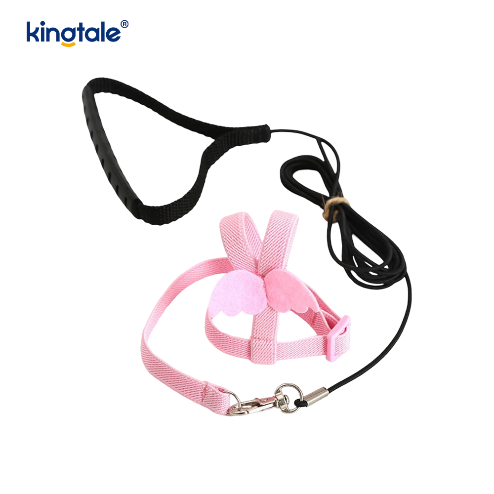 Ensemble harnais et laisse pour perroquet pivoine, corde volante réglable personnalisée