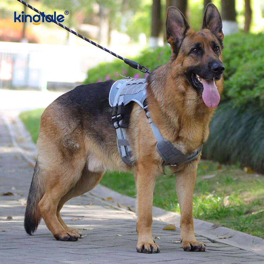 Harnais réglable respirable adapté aux besoins du client de chien de grande maille résistante adaptée aux besoins du client de gilet