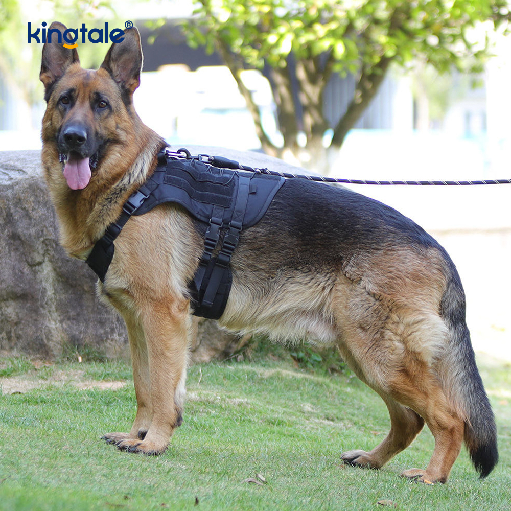 Harnais réglable respirable adapté aux besoins du client de chien de grande maille résistante adaptée aux besoins du client de gilet