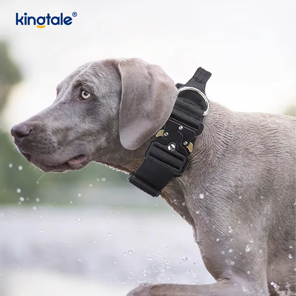 Ensemble de harnais de laisse de collier de chien tactique robuste pour grands chiens