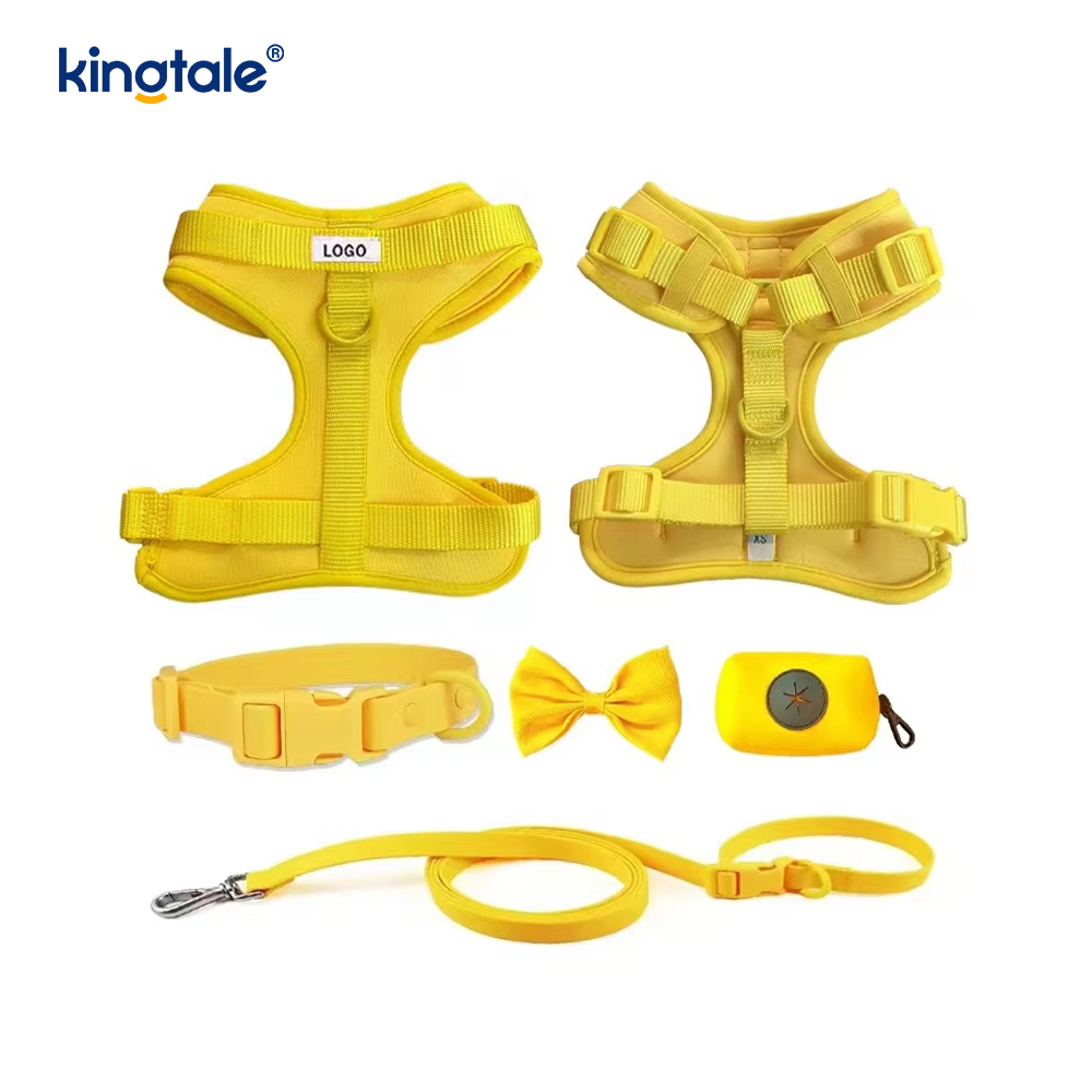 Collier de laisse de harnais de chien imperméable léger à la mode personnalisé en PVC