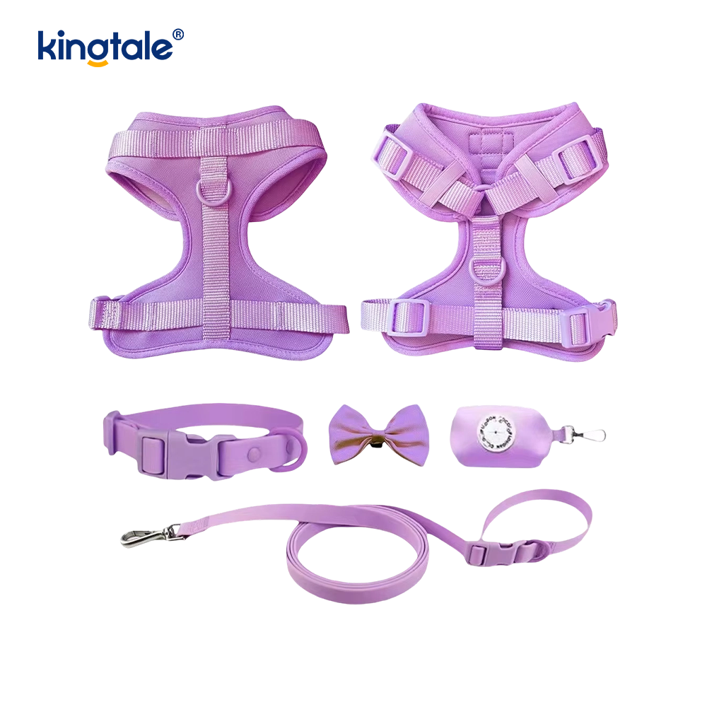 Collier de laisse de harnais de chien imperméable léger à la mode personnalisé en PVC