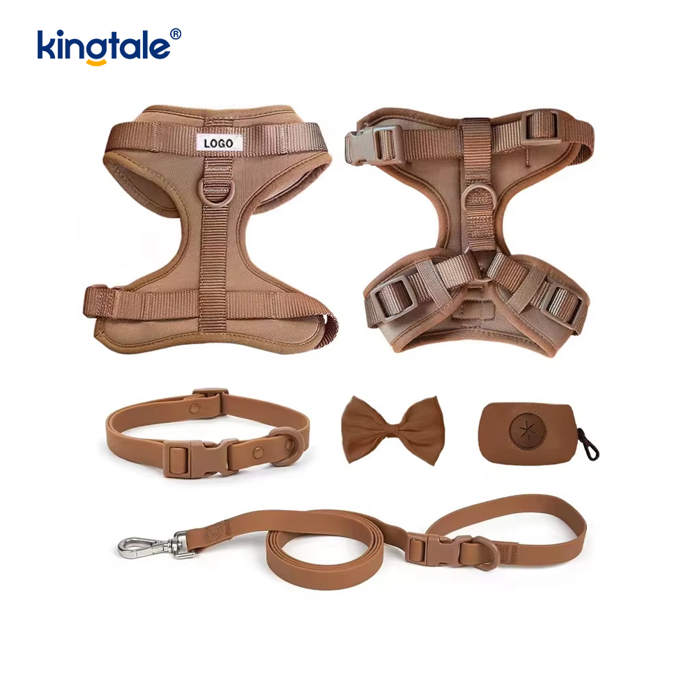 Collier de laisse de harnais de chien imperméable léger à la mode personnalisé en PVC