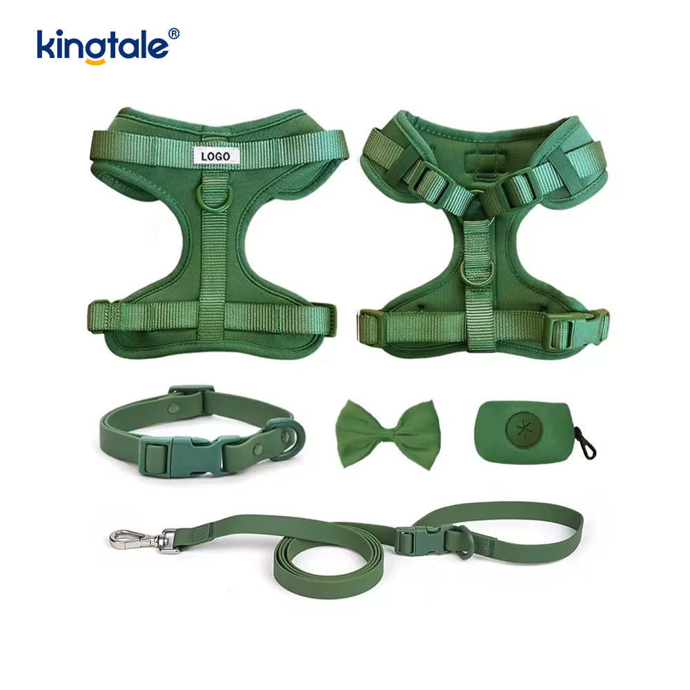 Collier de laisse de harnais de chien imperméable léger à la mode personnalisé en PVC