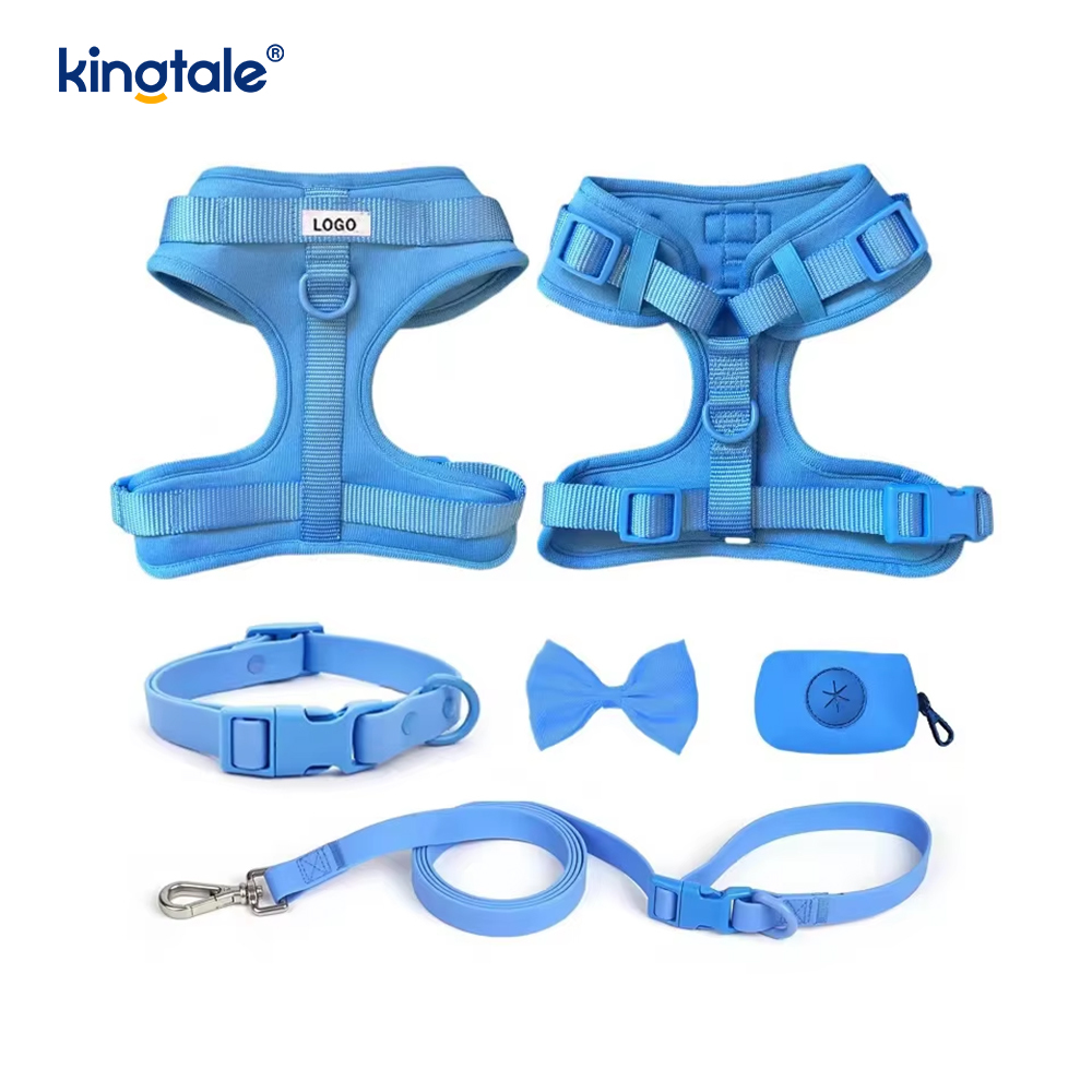 Collier de laisse de harnais de chien imperméable léger à la mode personnalisé en PVC