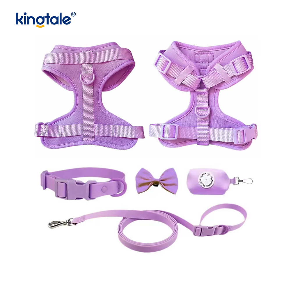 Collier de laisse de harnais de chien imperméable léger à la mode personnalisé en PVC