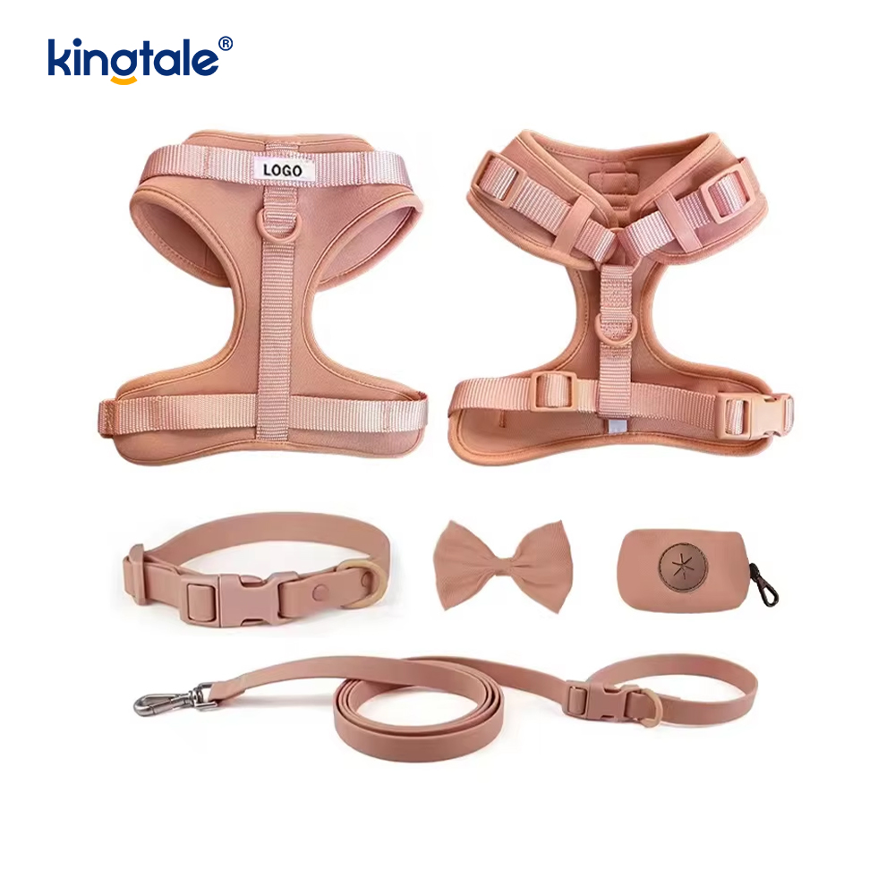 Collier de laisse de harnais de chien imperméable léger à la mode personnalisé en PVC
