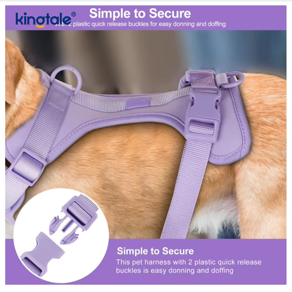 Collier de laisse de harnais de chien imperméable léger à la mode personnalisé en PVC
