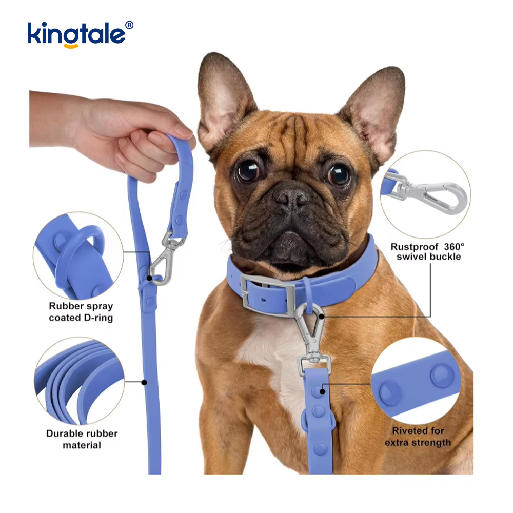 Collier de laisse de harnais de chien imperméable léger à la mode personnalisé en PVC