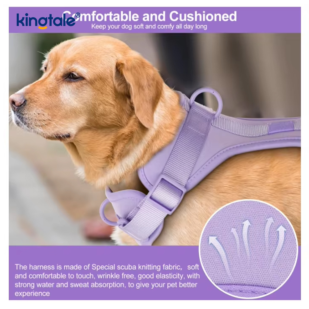 Collier de laisse de harnais de chien imperméable léger à la mode personnalisé en PVC