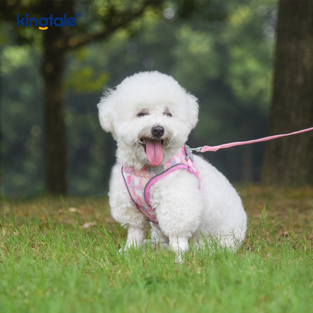 Harnais rembourré pour animaux de compagnie, Style gilet, laisse réfléchissante Anti-choc pour chien