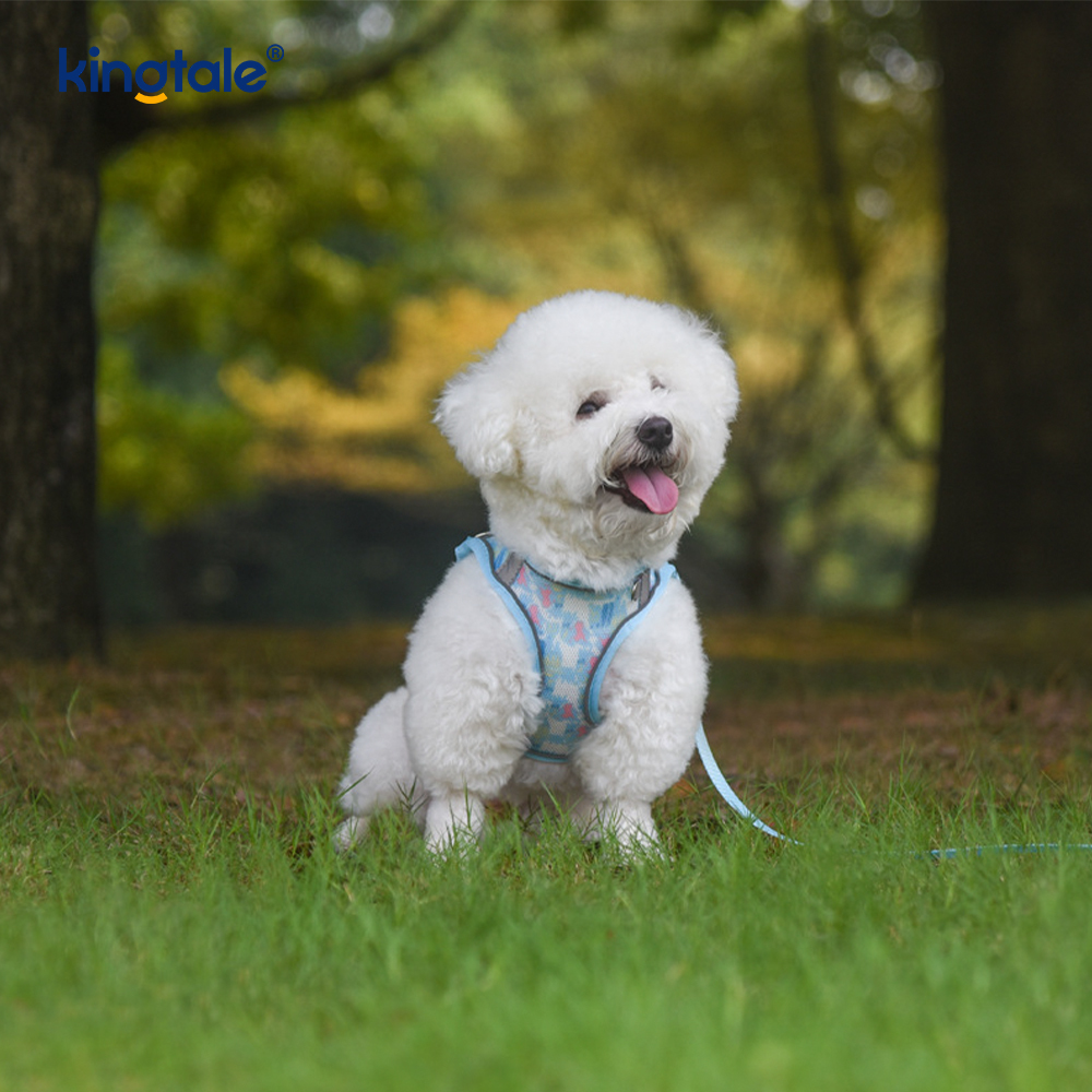 Harnais rembourré pour animaux de compagnie, Style gilet, laisse réfléchissante Anti-choc pour chien
