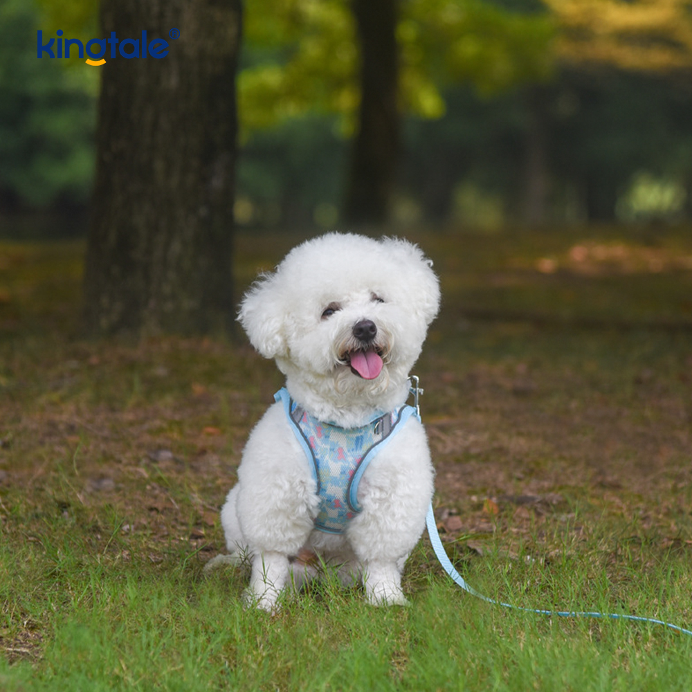 Harnais rembourré pour animaux de compagnie, Style gilet, laisse réfléchissante Anti-choc pour chien