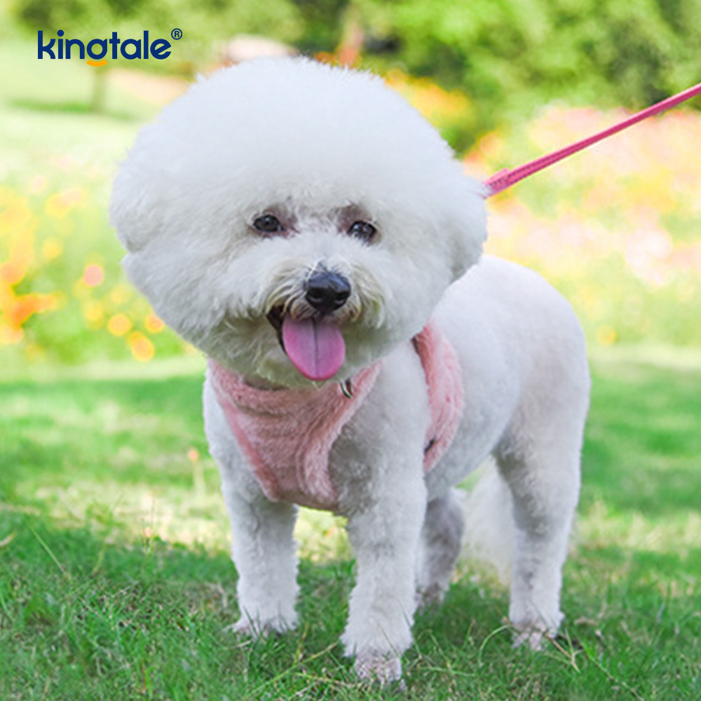 Harnais pour chien en peluche, ensemble de laisse, gilet de harnais pour chiens de marche d'automne