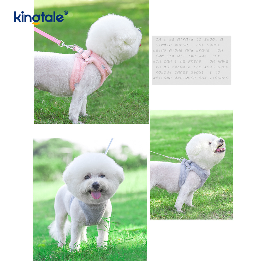 Harnais pour chien en peluche, ensemble de laisse, gilet de harnais pour chiens de marche d'automne