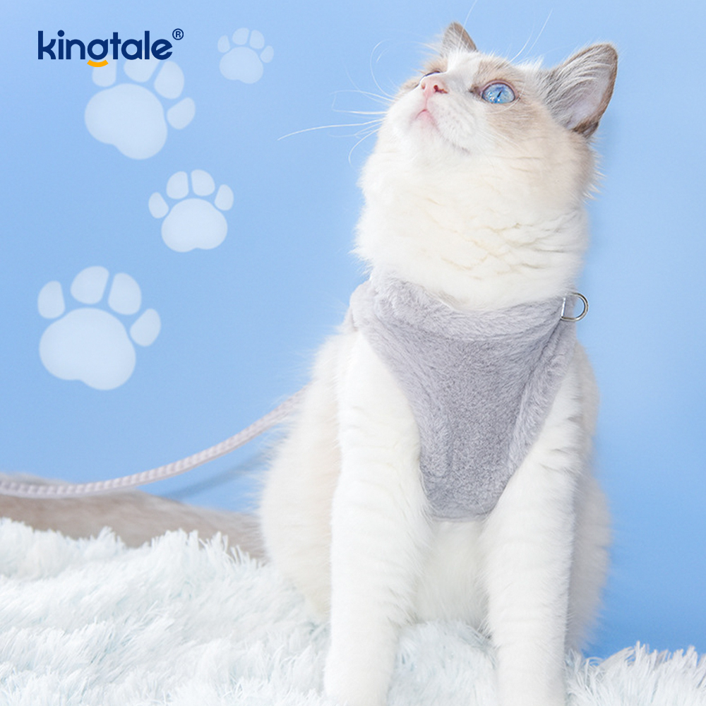 Harnais pour chien en peluche, ensemble de laisse, gilet de harnais pour chiens de marche d'automne