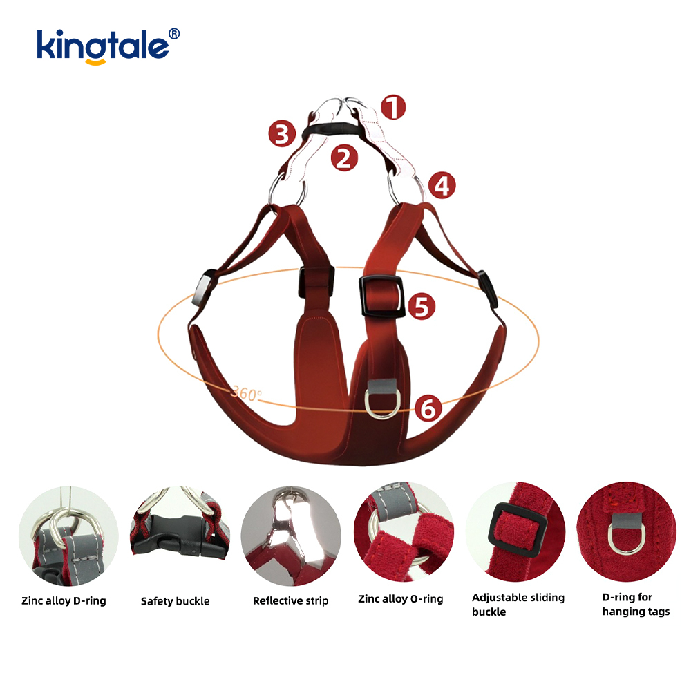 Ensemble harnais et laisse réglables en cuir pour petit chien et chat, strass scintillants