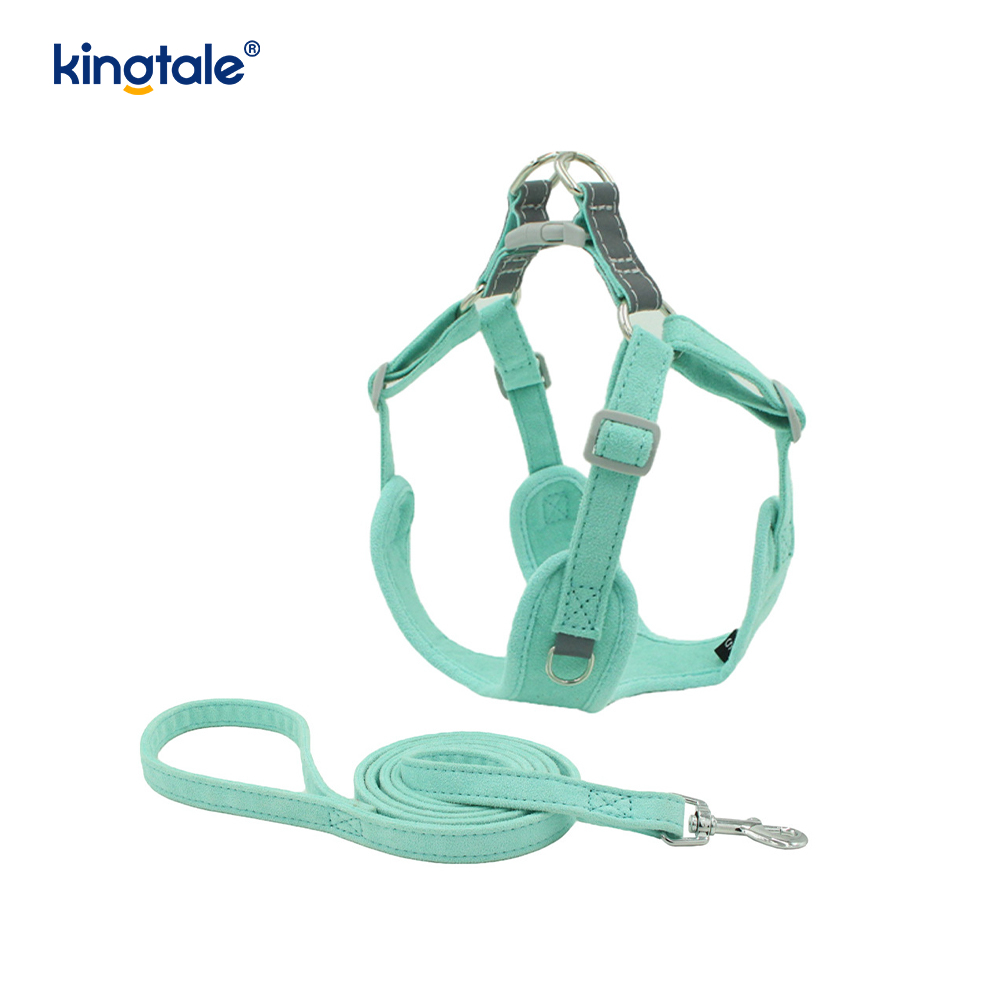Ensemble harnais et laisse réglables en cuir pour petit chien et chat, strass scintillants