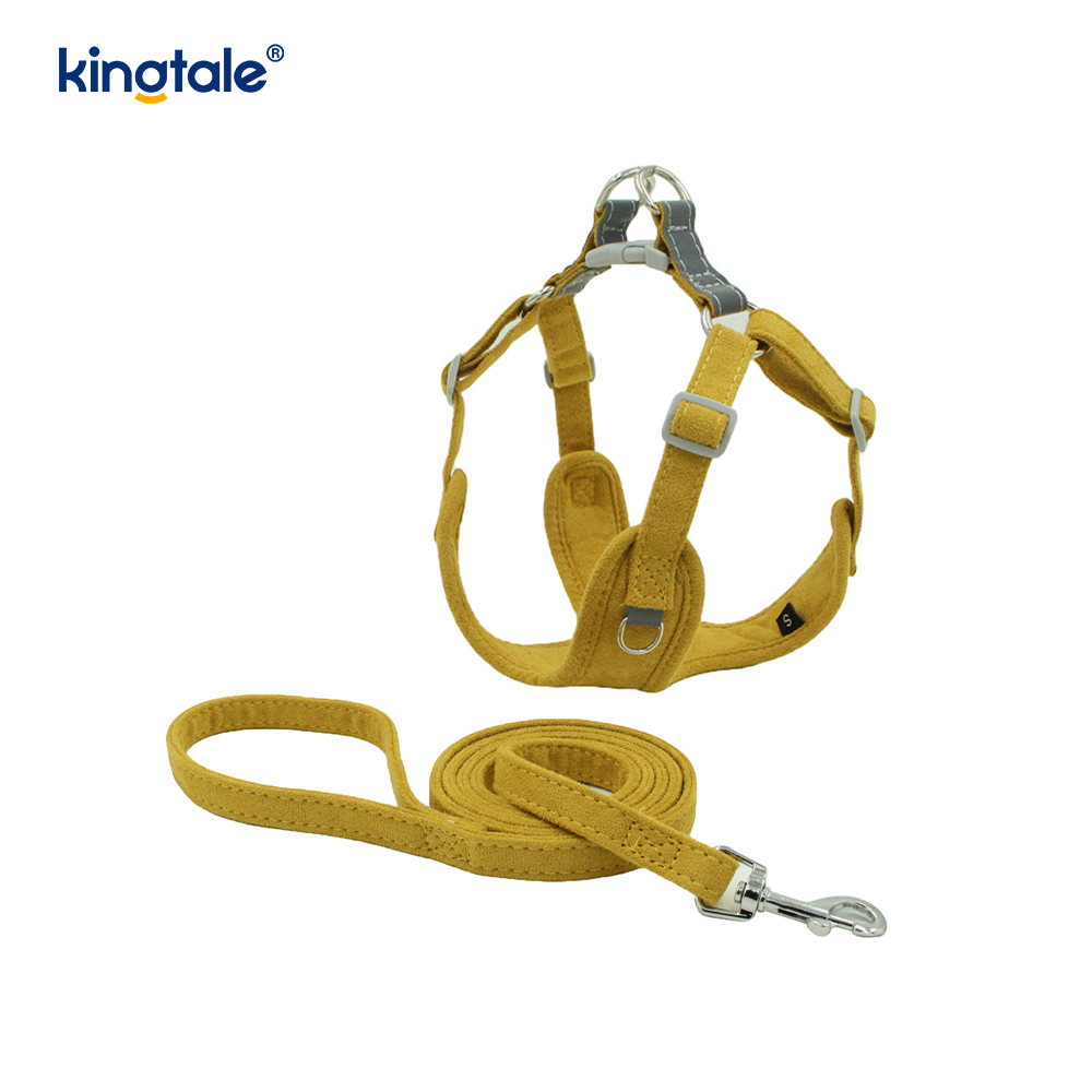 Ensemble harnais et laisse réglables en cuir pour petit chien et chat, strass scintillants