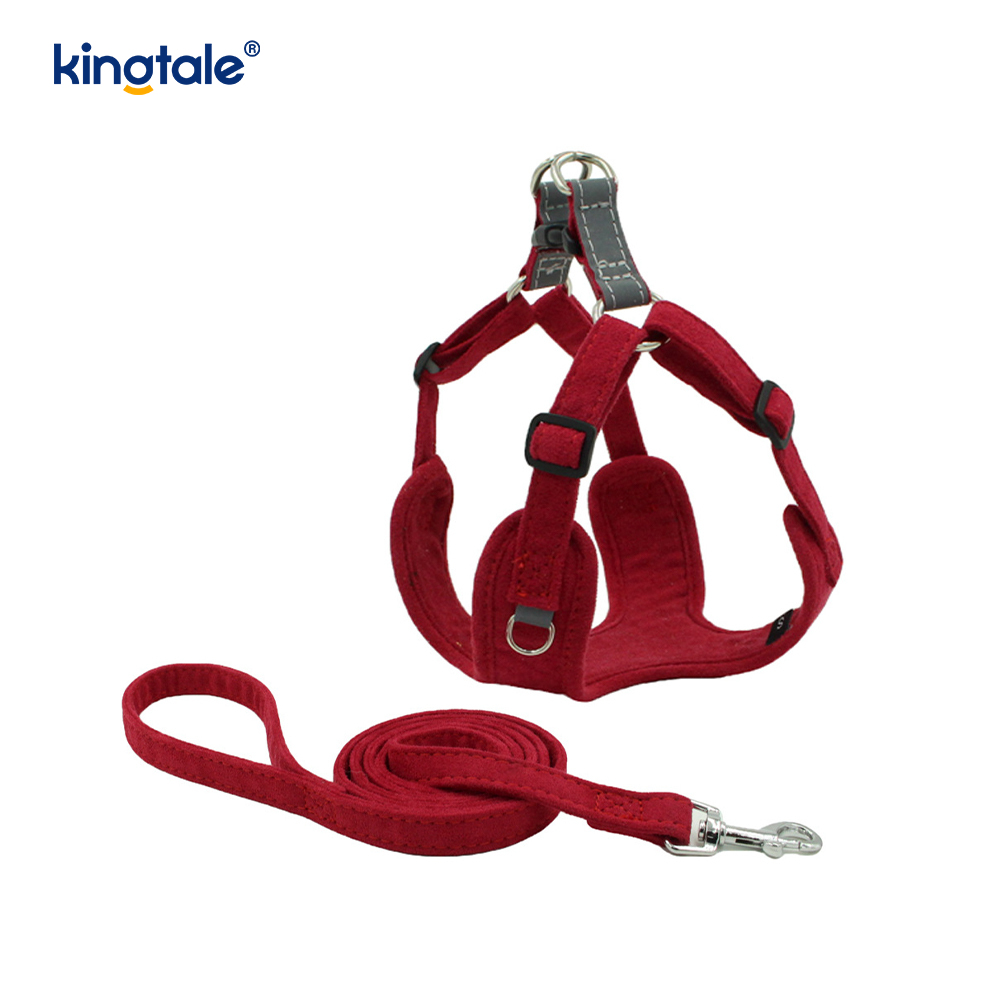 Ensemble harnais et laisse réglables en cuir pour petit chien et chat, strass scintillants