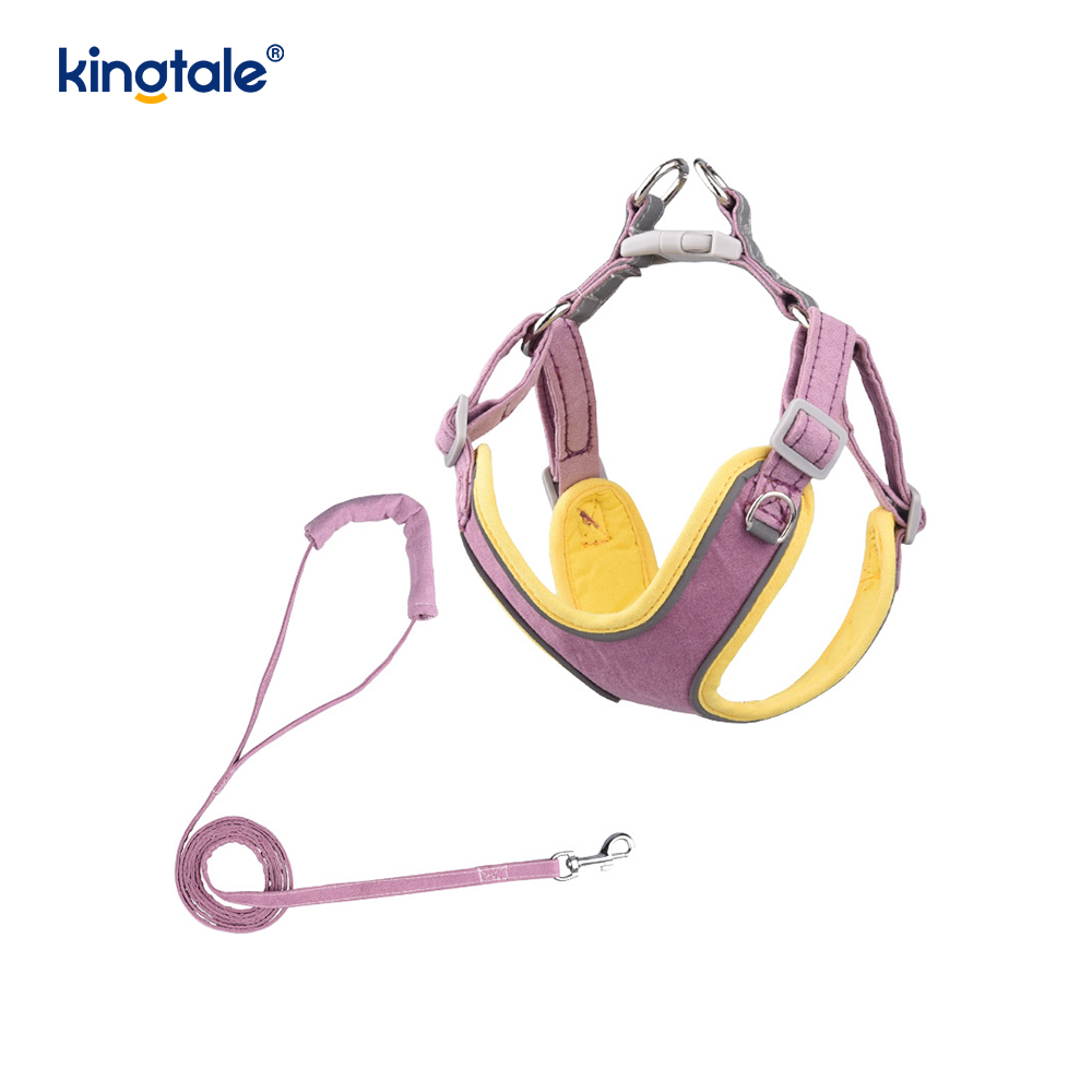Ensemble harnais et laisse réglables en cuir pour petit chien et chat, strass scintillants