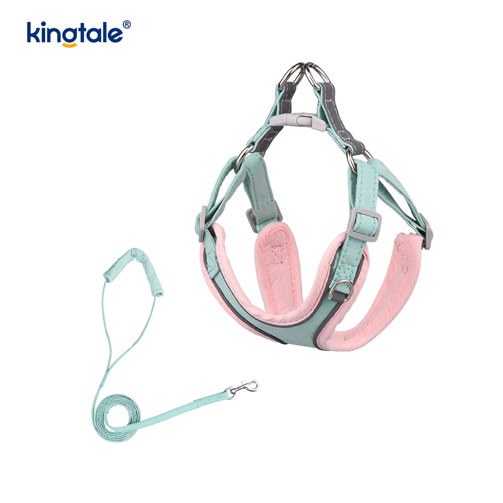 Ensemble harnais et laisse réglables en cuir pour petit chien et chat, strass scintillants