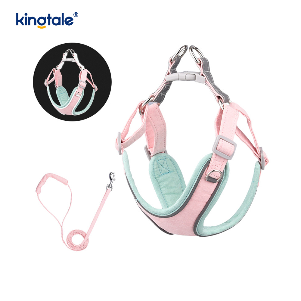 Ensemble harnais et laisse réglables en cuir pour petit chien et chat, strass scintillants