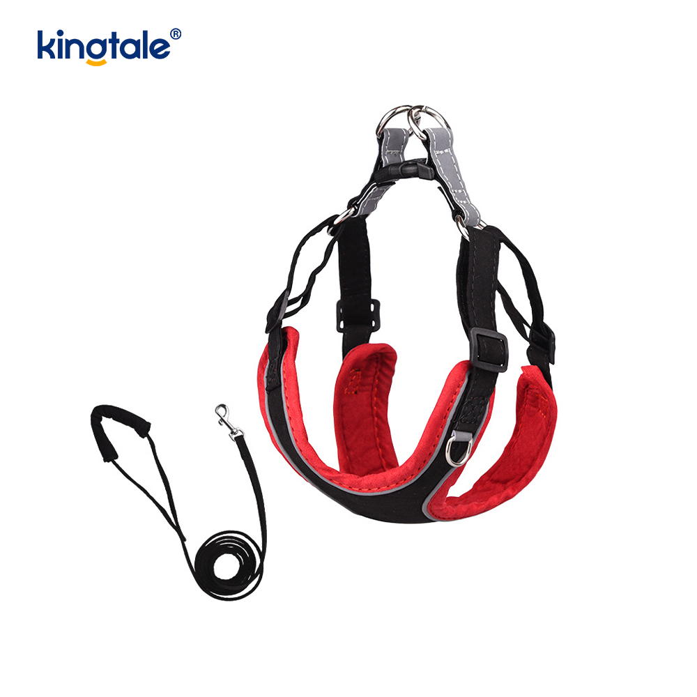Ensemble harnais et laisse réglables en cuir pour petit chien et chat, strass scintillants