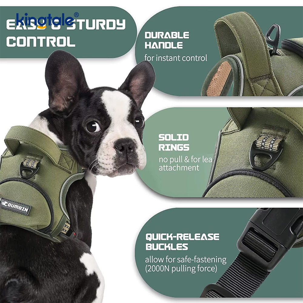 Gilet réglable sans étranglement pour animaux de compagnie, avec laisse pour chien, harnais de marche réfléchissant pour animaux de compagnie