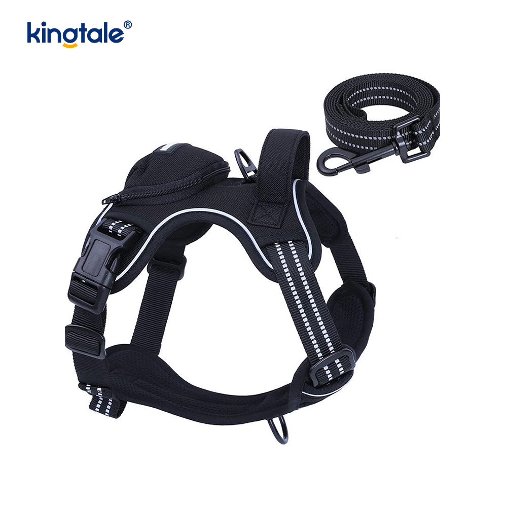 Gilet réglable sans étranglement pour animaux de compagnie, avec laisse pour chien, harnais de marche réfléchissant pour animaux de compagnie