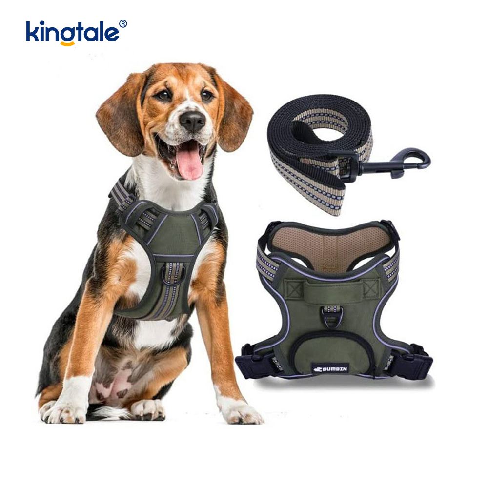 Gilet réglable sans étranglement pour animaux de compagnie, avec laisse pour chien, harnais de marche réfléchissant pour animaux de compagnie