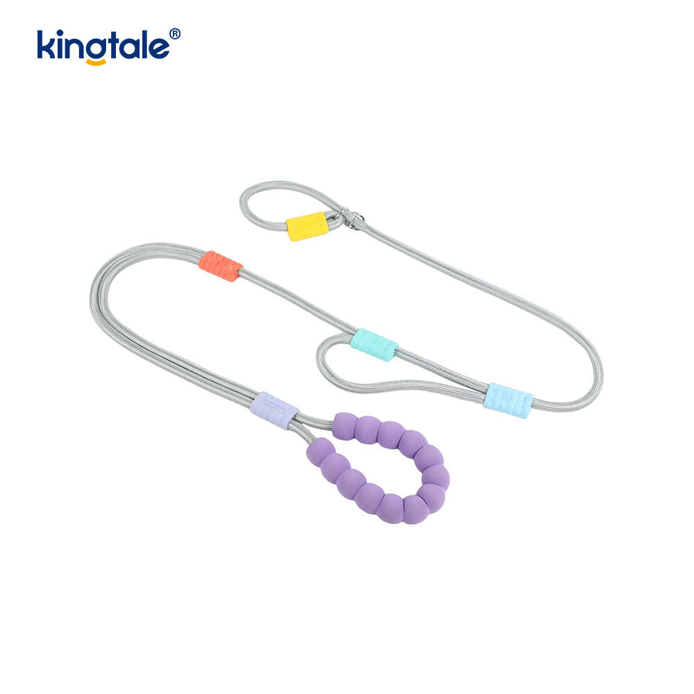 Aucune laisse colorée réglable en nylon durable de glissement de chien de poignée de double de traction