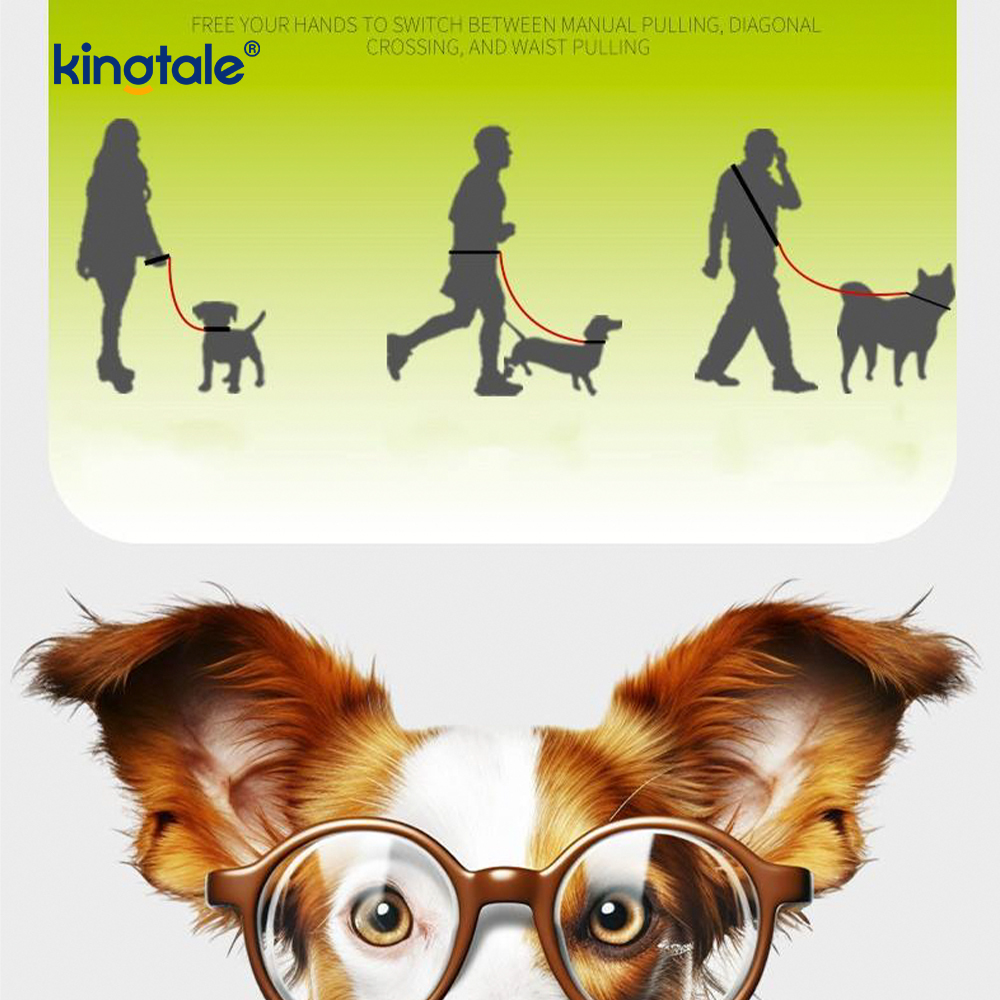 Aucune laisse colorée réglable en nylon durable de glissement de chien de poignée de double de traction