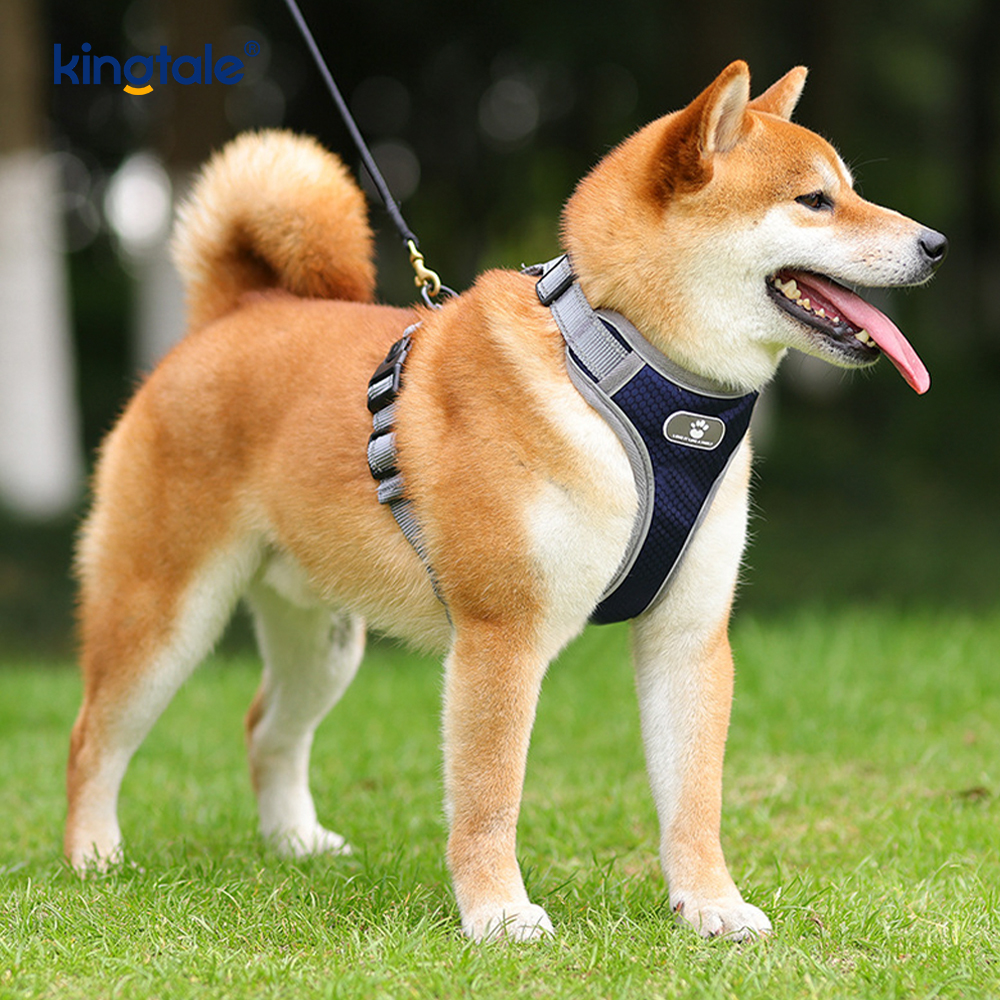 Harnais réfléchissant pour chien, réglable, doux et rembourré, sans traction, gilet Oxford pour chien