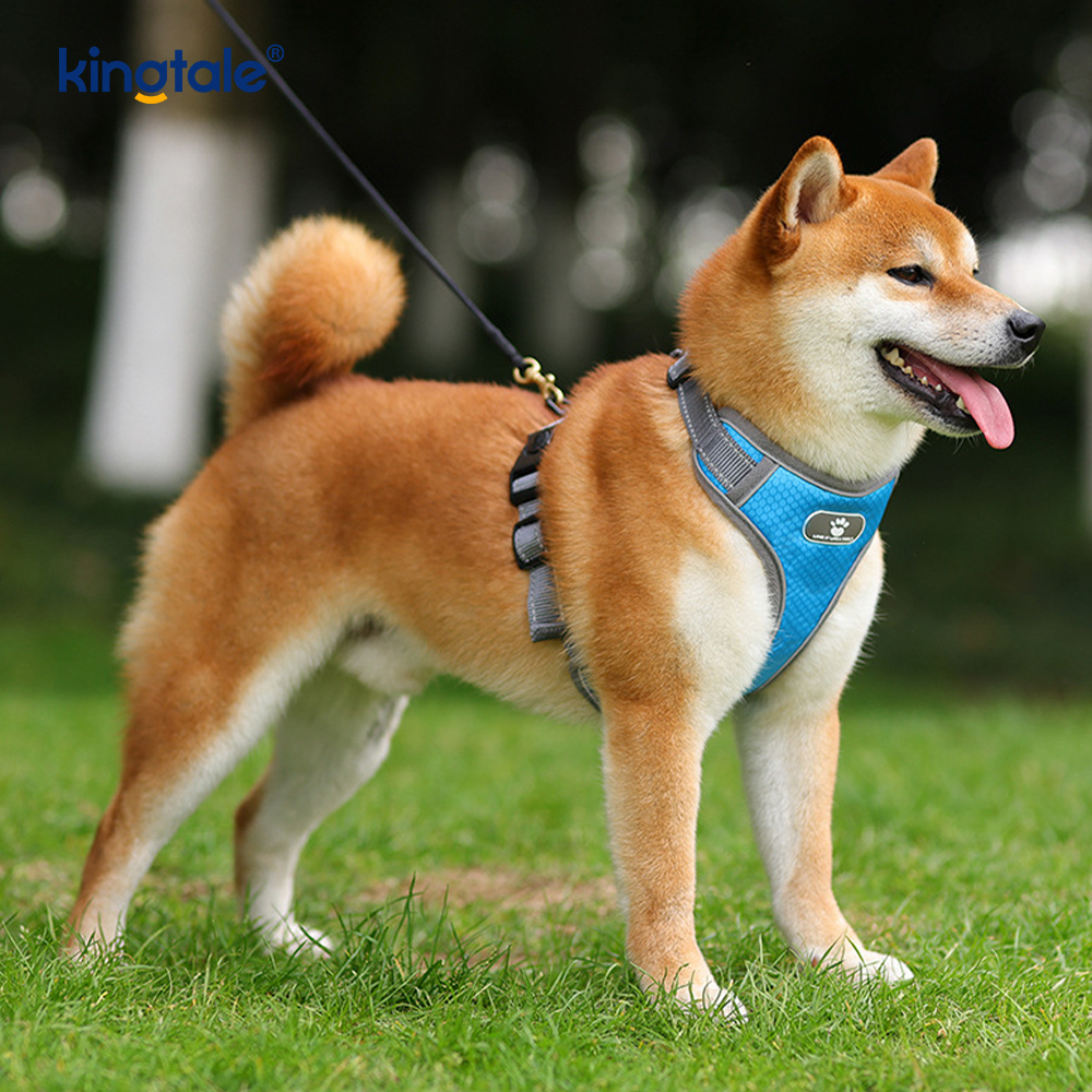Harnais réfléchissant pour chien, réglable, doux et rembourré, sans traction, gilet Oxford pour chien