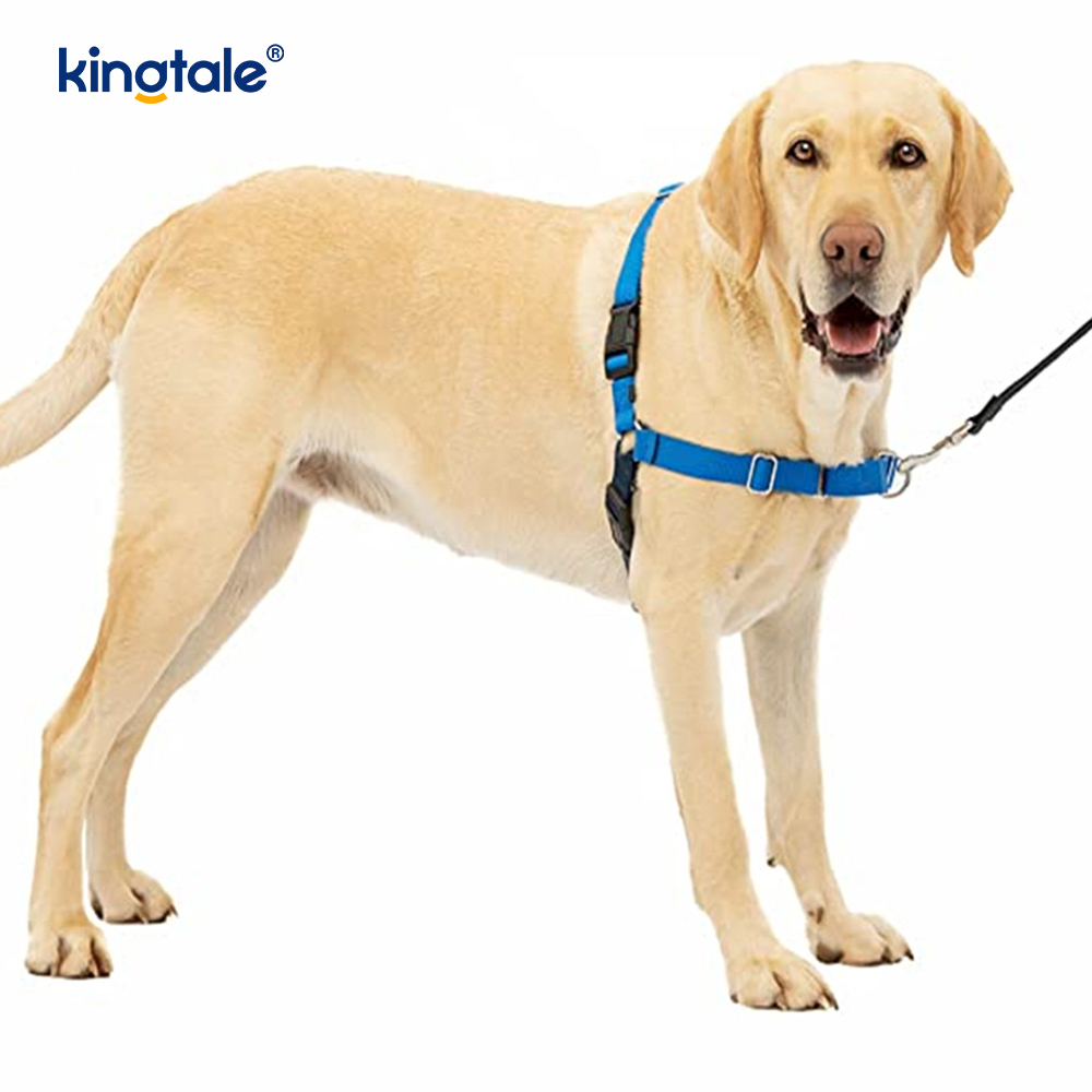 Le harnais pour chien sans traction aide à arrêter de tirer, à prendre le contrôle et à enseigner les bonnes manières en laisse.